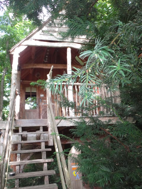 The Squirrel Treehouse