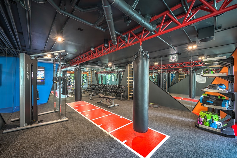 A spacious gym area is equipped with various fitness machines and free weights. A boxing bag hangs from the ceiling, and vibrant wall designs add visual interest. Open space is available for exercise routines, and a section features organized fitness equipment in bright colors.
