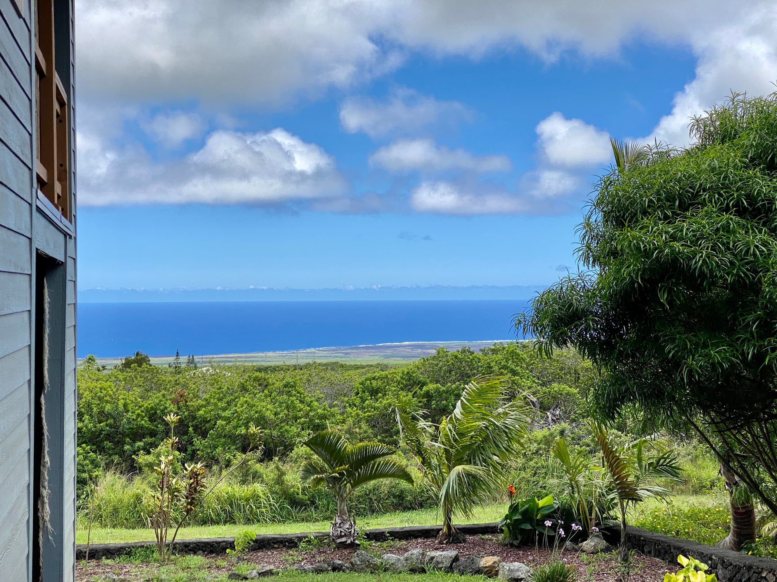 Peaceful Private Studio w/Covered Ocean View Deck - Photo 21