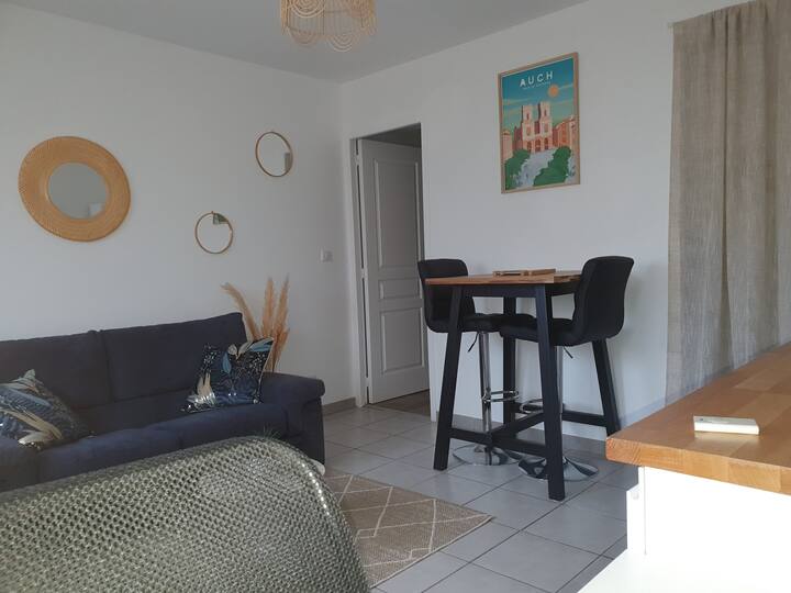 Appartement Proche Toutes Commodités Avec Sortie - Auch