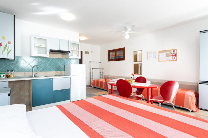 Studio apartment WOOL