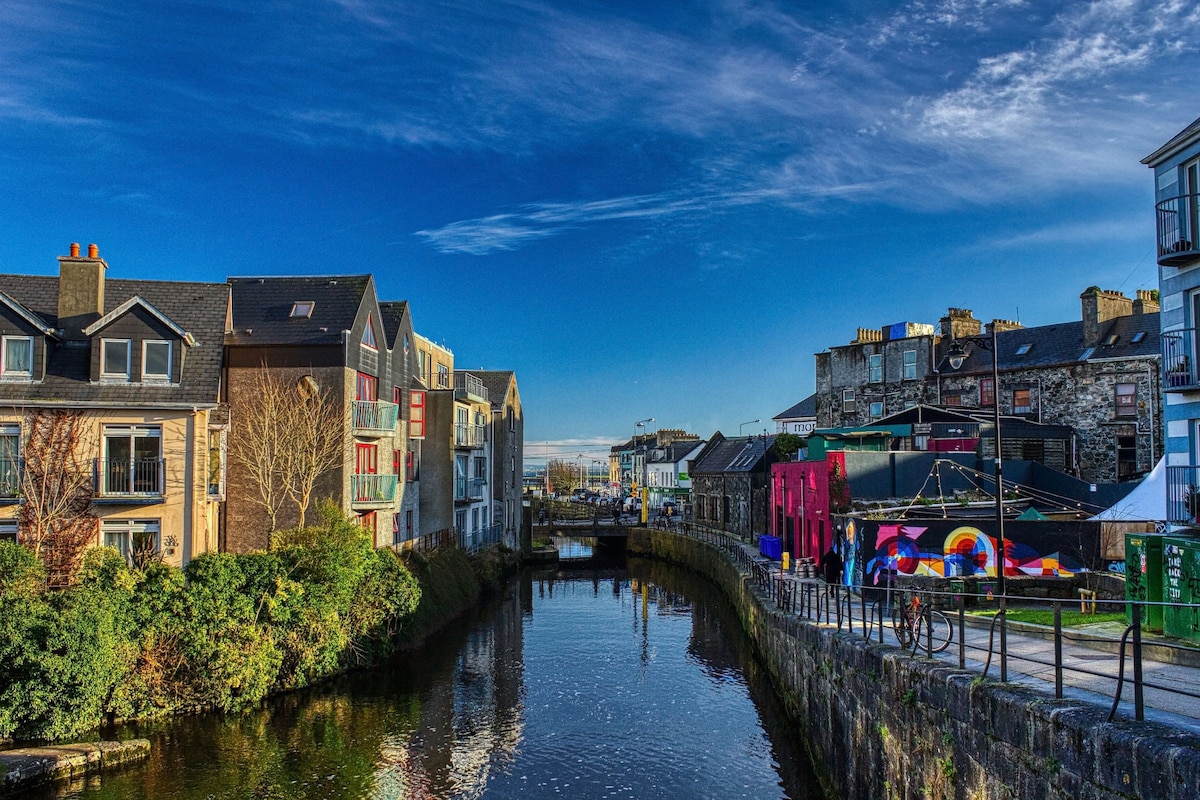Bawn in Townparks (moycarn By. - Ballinasloe)