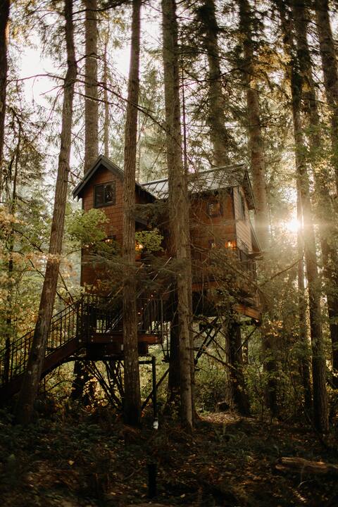 Iron & Vine Treehouse at Mount Rainier