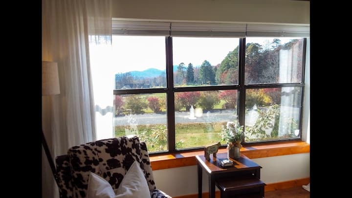 A Stunning View & Firepit: Cozy Cottage, Dogs, Ada - Franklin, NC