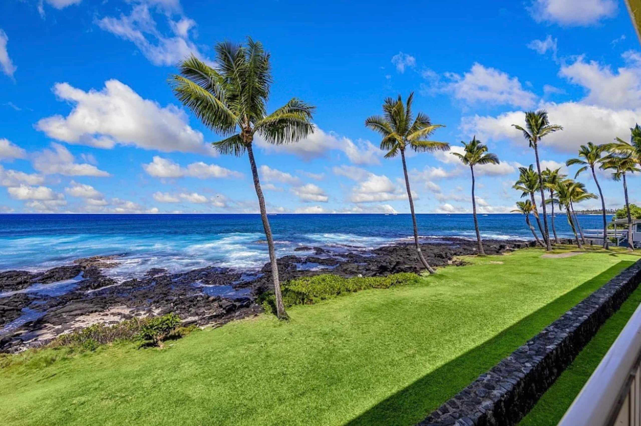 Condo in Kailua-Kona · ★5.0 · 1 bedroom · 2 beds · 1 bath - Image 35