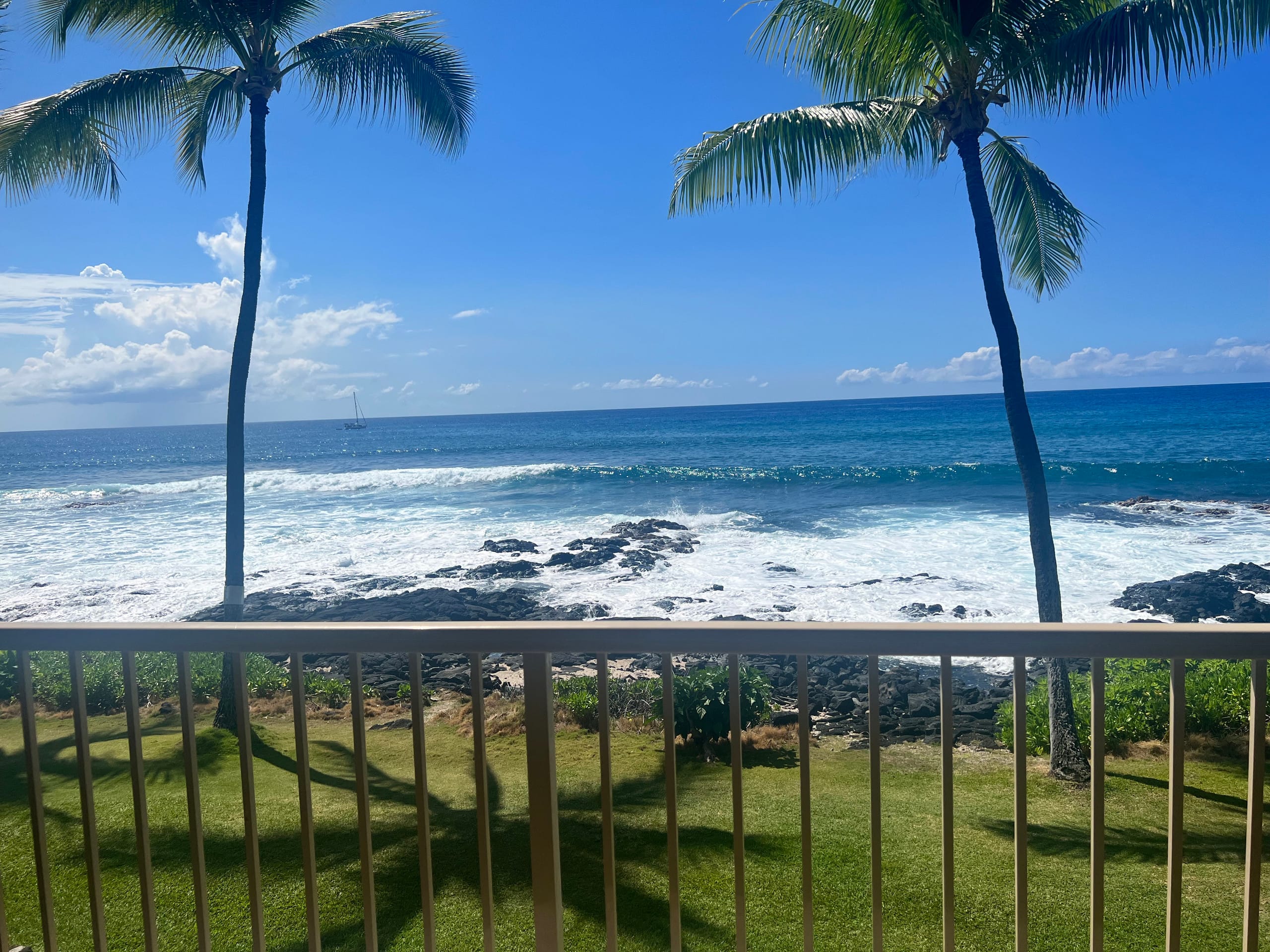 Condo in Kailua-Kona · ★5.0 · 1 bedroom · 2 beds · 1 bath - Image 28