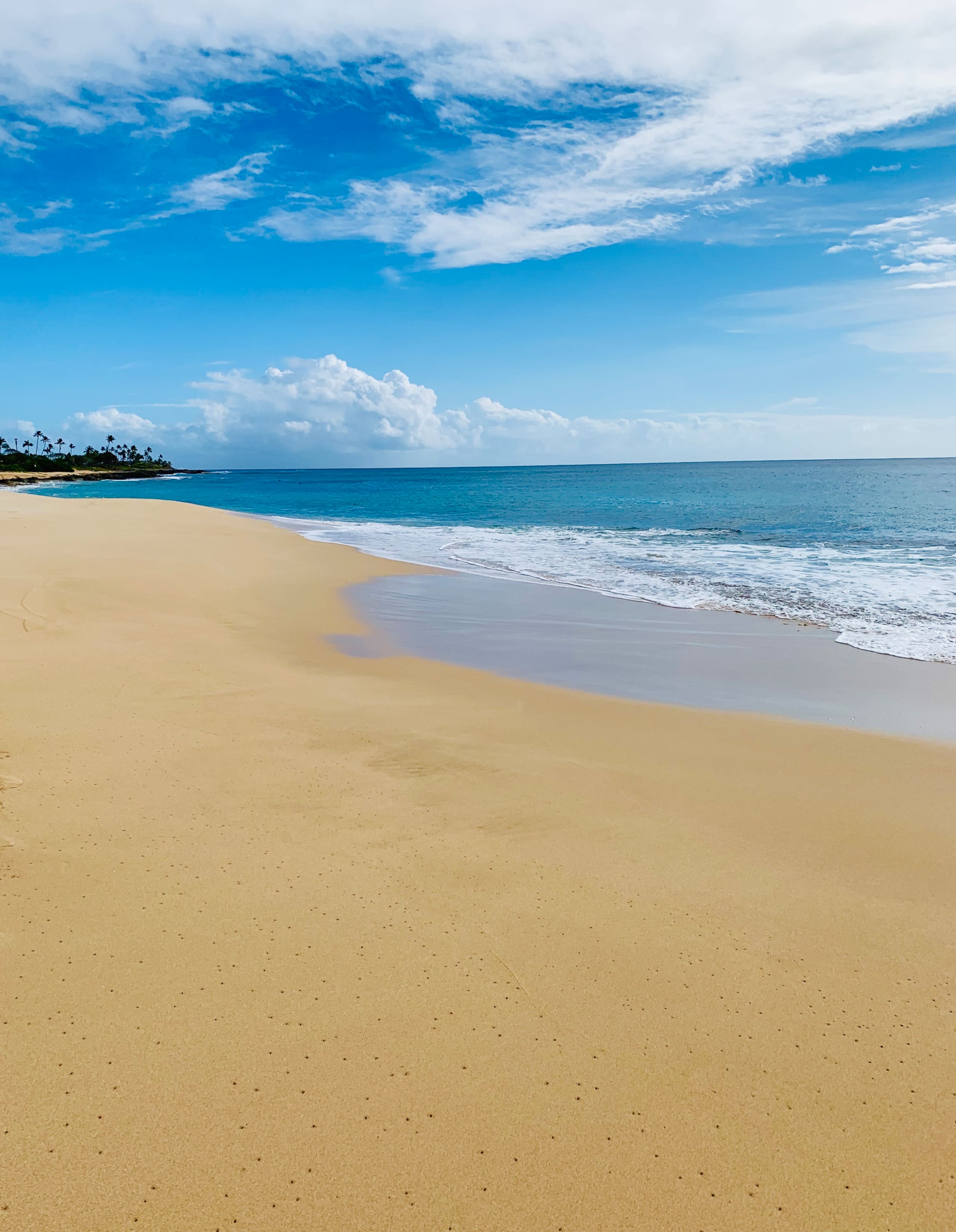 Home in Waianae · ★4.97 · 3 bedrooms · 5 beds · 2.5 private baths - Image 87