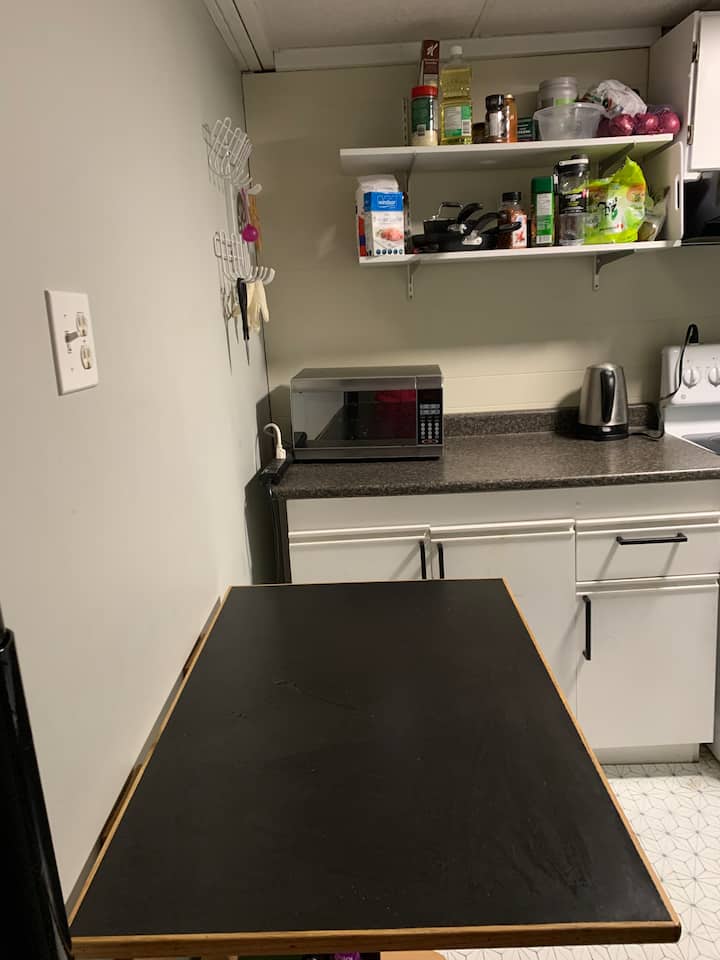 Clean One Bedroom In Basement#9 - Thunder Bay