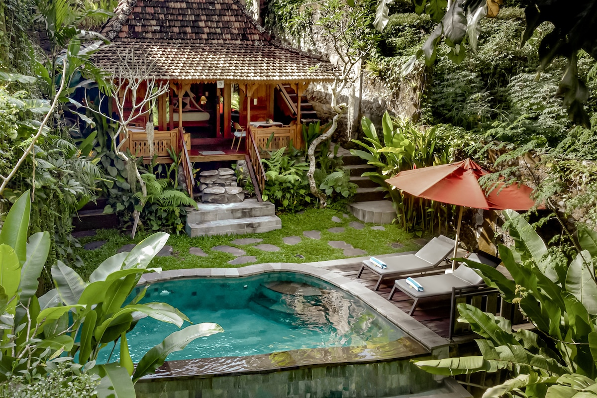 A classic wooden villa is nestled amidst lush greenery, featuring a private infinity pool surrounded by tropical plants. Comfortable lounge chairs are positioned beside the pool. Steps lead from the pool area up to the villa, which boasts a traditional thatched roof.