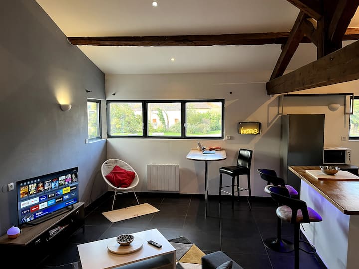 Ფართო მისაღები ოთახი გასაშლელი დივნით, LED განწყობა და Smart TV (Netflix, Prime, Disney+, Molotov Premium, Canal +)  