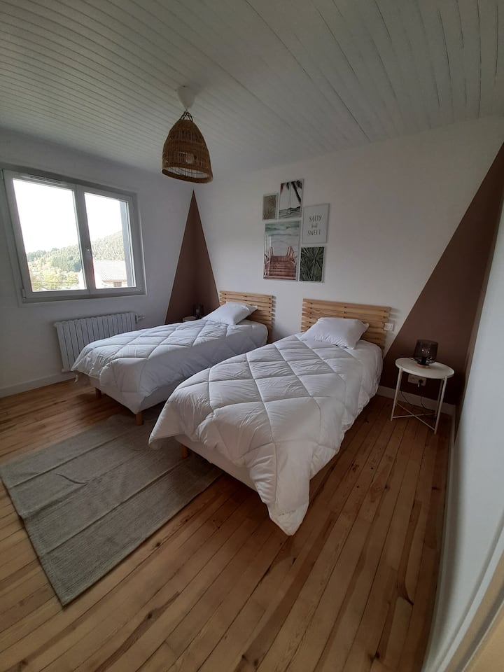 Ორი 90 × 200 ორადგილიანი საწოლი 