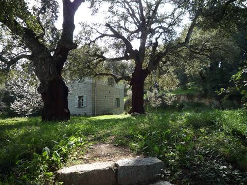 The Ruspu House