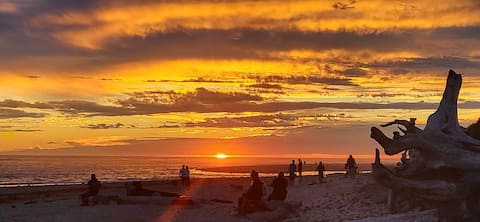 125' Beachfront, Firepits, Crabbing, Clamming-wow!