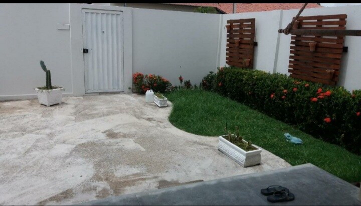 A serene outdoor area features well-maintained grass and neatly arranged flower beds with vibrant blooms. Two planters with cacti are positioned on either side of the patio, while a small storage shed is visible in the background against a neutral wall.