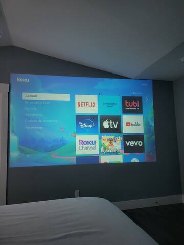 Whole Upstairs w. Sauna, Hot Tub gallery image 5