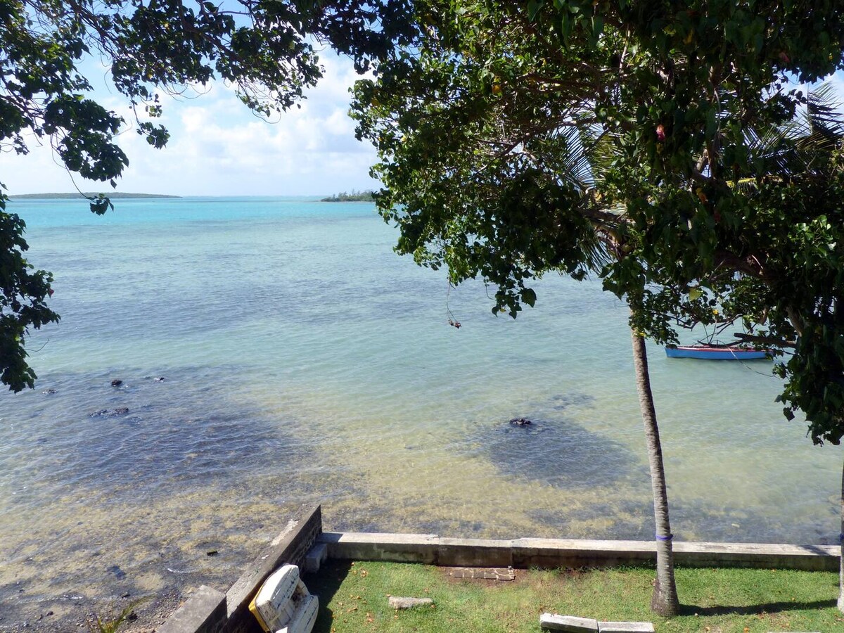 A serene coastal view features calm turquoise waters gently lapping against a sandy shore, with lush trees framing the scene. A small boat is visible in the distance, and rocky formations can be seen submerged in the water.