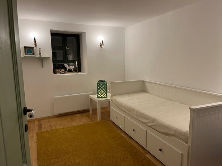 غرفة في الطابق الأرضي مع سرير يمكن فتحه