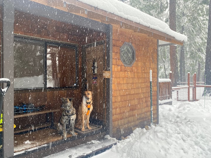 2 Dog Lodge - snow fun for family & dogs at 5000'