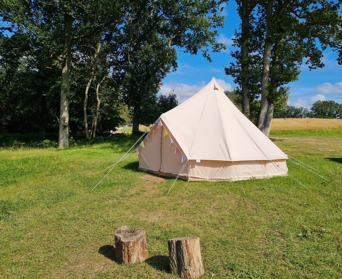 A spacious bell tent stands in a grassy area, surrounded by trees and under a clear blue sky. Bunting adds a decorative touch to the tent. Two wooden stumps are positioned nearby, providing seating or a rustic accent.