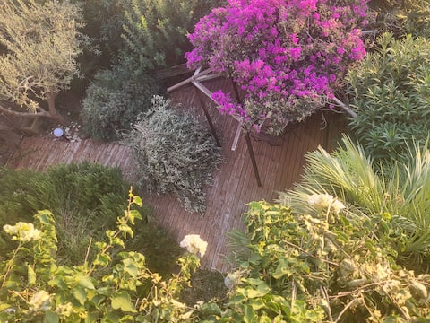 sadomudesusoi :all windows with the sea view