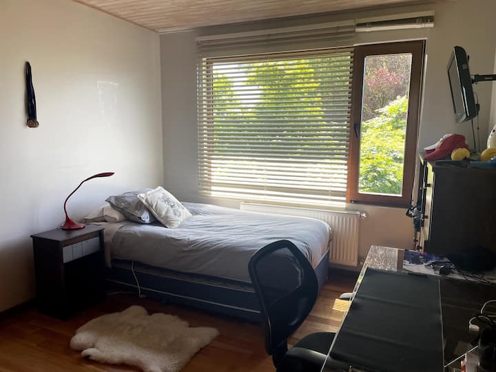 Chambre 5