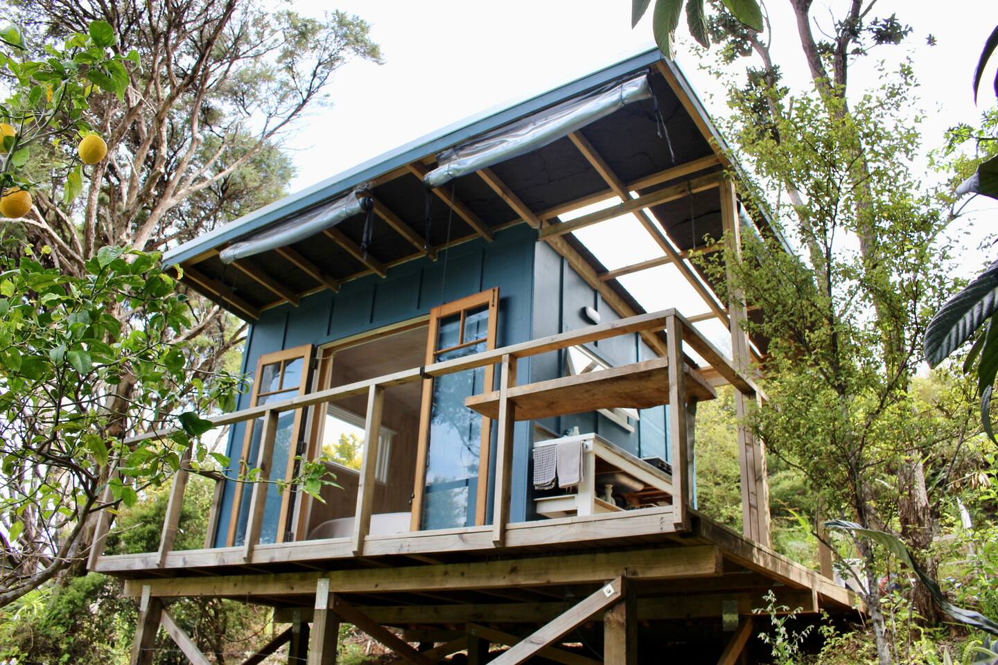 Tree House Retreat - Great Barrier Island 1