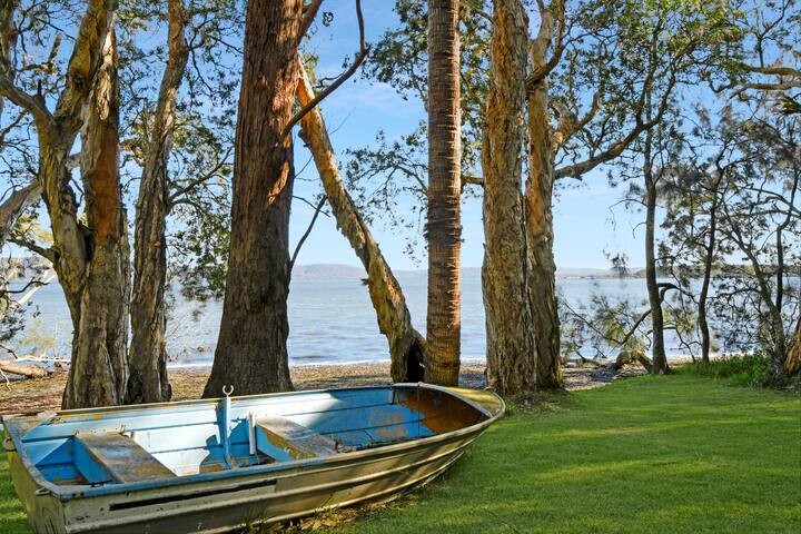 Turtles Crossing gallery image 5