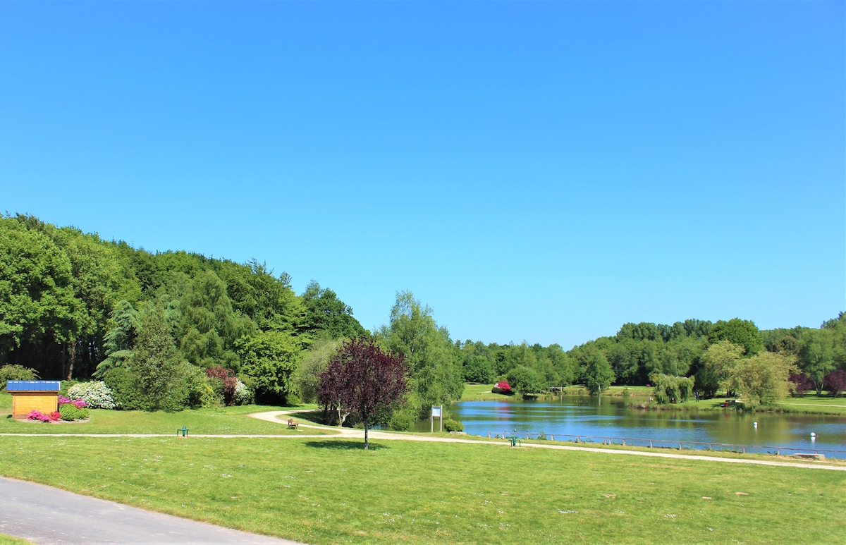 A serene park landscape is depicted, featuring a tranquil lake surrounded by green trees and blooming shrubs. Walking paths meander along the water's edge, inviting exploration. Blue skies stretch above, enhancing the peaceful atmosphere of the outdoor space.