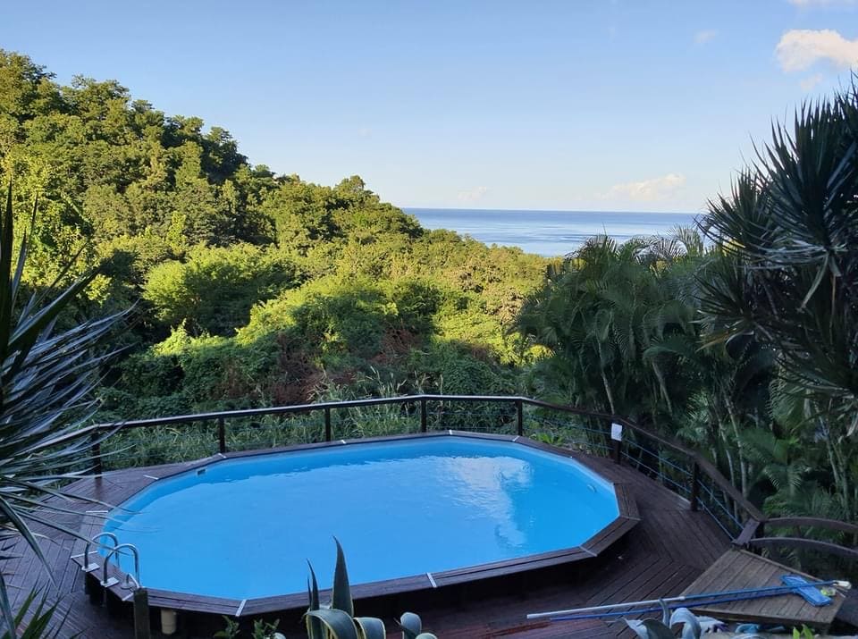An inviting pool with a clear blue surface is set on a wooden deck, surrounded by lush greenery. The expansive view of the ocean in the background is complemented by a clear sky, enhancing the serene atmosphere.