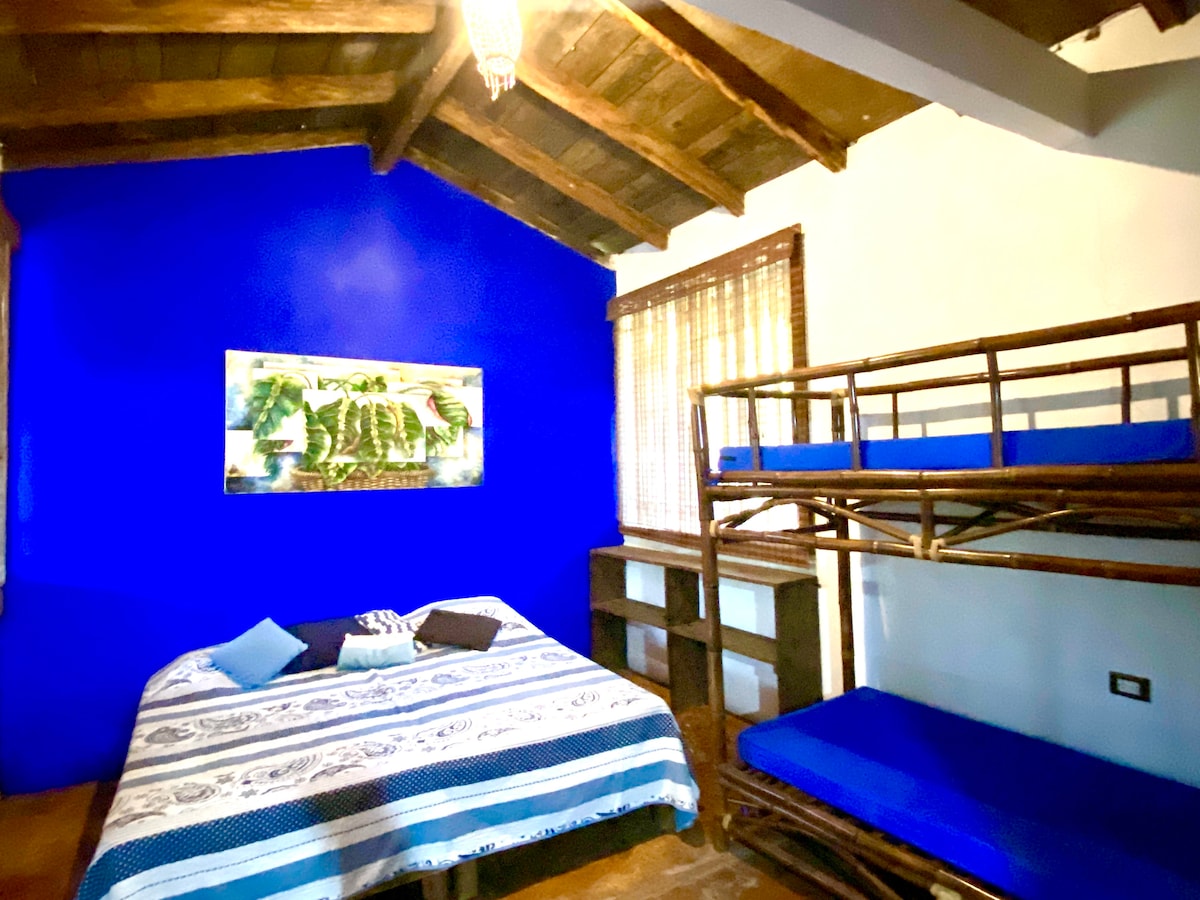 A room features a spacious bed covered with a patterned blanket. A wooden bunk bed sits against a vibrant blue wall. Natural light filters through a window with blinds, and a decorative nature-themed painting is displayed above the bed.