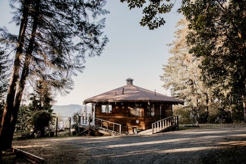 Hexagon cabin in the woods