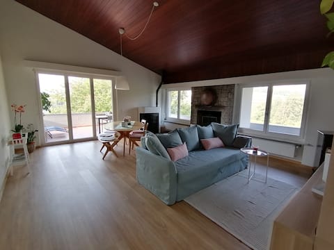Top Airbnb: Apartment in the countryside, among the vines in Ticino