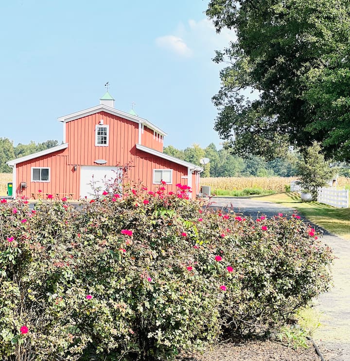 Farm Retreat Estate 4 BR w/ luxury amenities Farm stays for Rent in