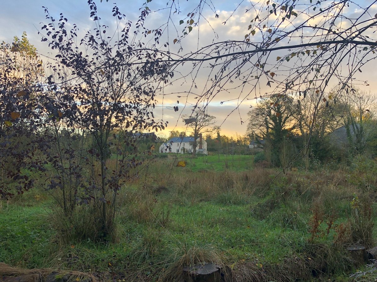 A serene countryside scene is presented, featuring a grassy field bordered by trees and shrubs. In the background, a white building is visible, surrounded by the lush greenery of the area. The sky is softly illuminated with pastel hues, hinting at early morning or late evening.