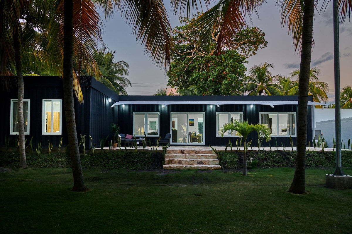 The exterior of a modern house is framed by tall palm trees, with large windows allowing natural light to illuminate the living spaces. A set of steps leads up to the entrance, which features a welcoming walkway surrounded by lush greenery.
