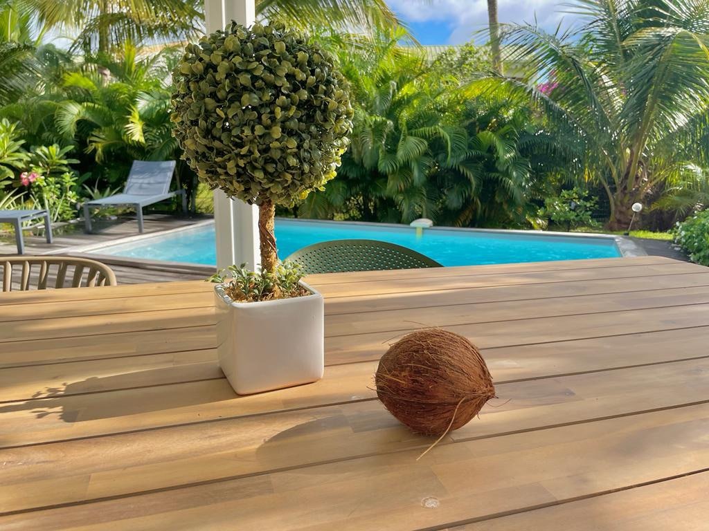 A wooden table showcases a small topiary in a white pot alongside a coconut. In the background, a salt-water pool is visible, surrounded by lush tropical greenery and sun loungers.