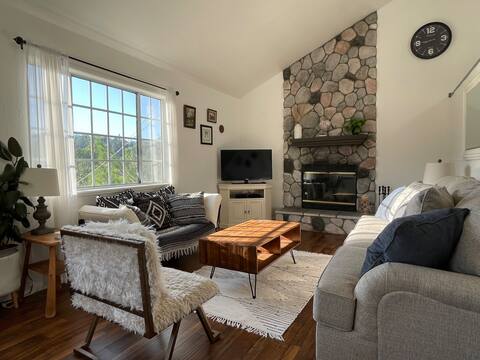 Pet friendly cabin with hot tub and treetop views