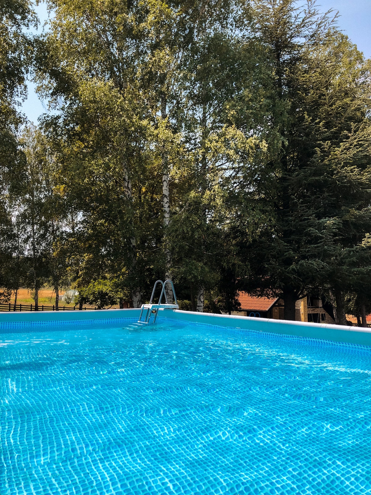 A refreshing swimming pool is surrounded by lush greenery, featuring clear blue water that sparkles under sunlight. A sturdy ladder leads into the pool, inviting guests to enjoy a leisurely swim amidst the peaceful natural setting.