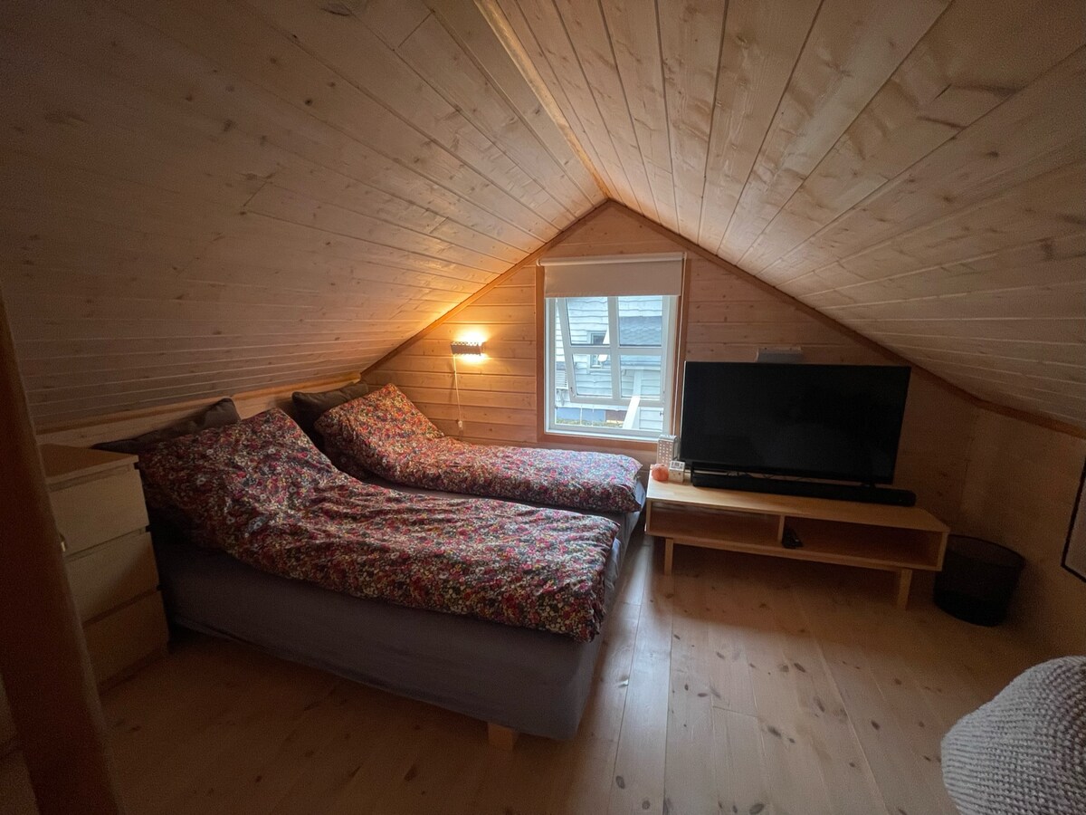 带电视的组合客厅。床是今天的床，其中一张是日光浴电视。 