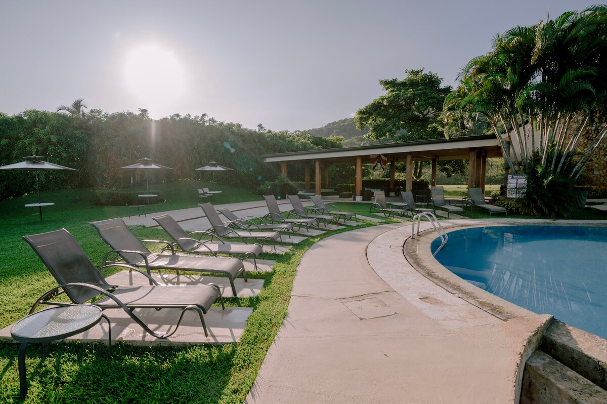 A well-maintained outdoor area features a sparkling pool surrounded by lounge chairs arranged along a curved pathway. Umbrellas provide shade to the seating areas, while lush greenery and palm trees create a serene and inviting environment.