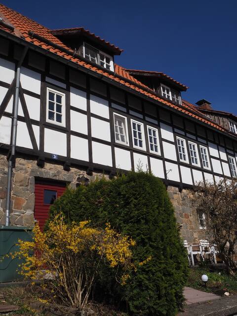 Sonnenhaus Harz - Cozy half-timbered house on the slope