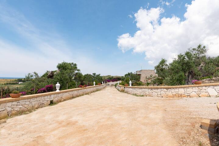 Villa Alessandra gallery image 5