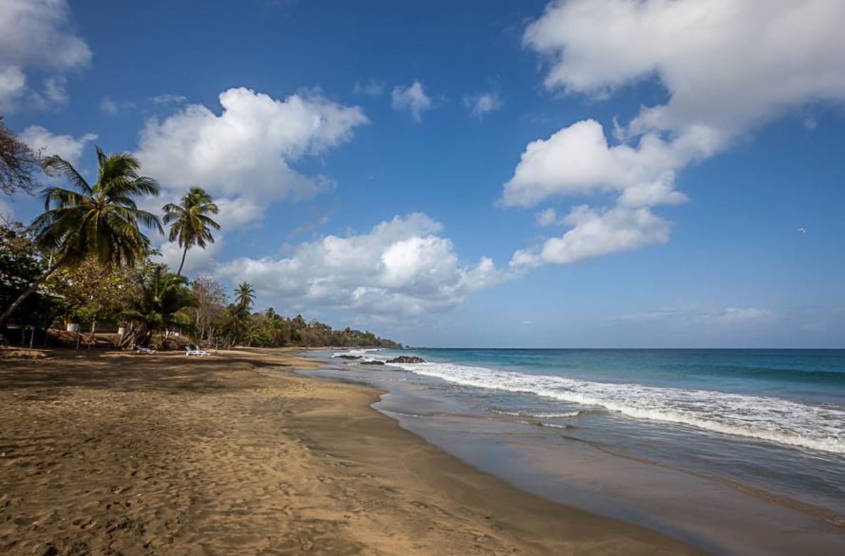 The sandy beach is lined with palm trees, gently swaying in the breeze. Waves can be seen lapping at the shore under a blue sky with scattered clouds. The calm waters reflect sunlight, contributing to a serene coastal scene.