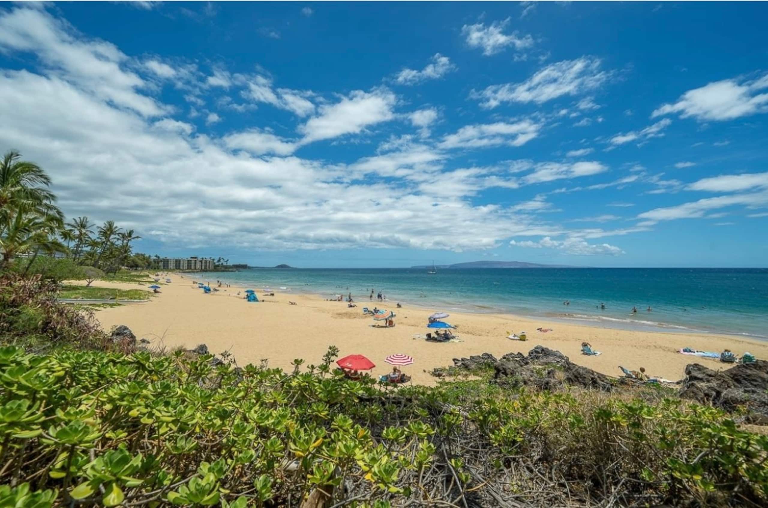 Condo in Kihei · ★4.95 · 1 bedroom · 2 beds · 1 private bath - Image 37