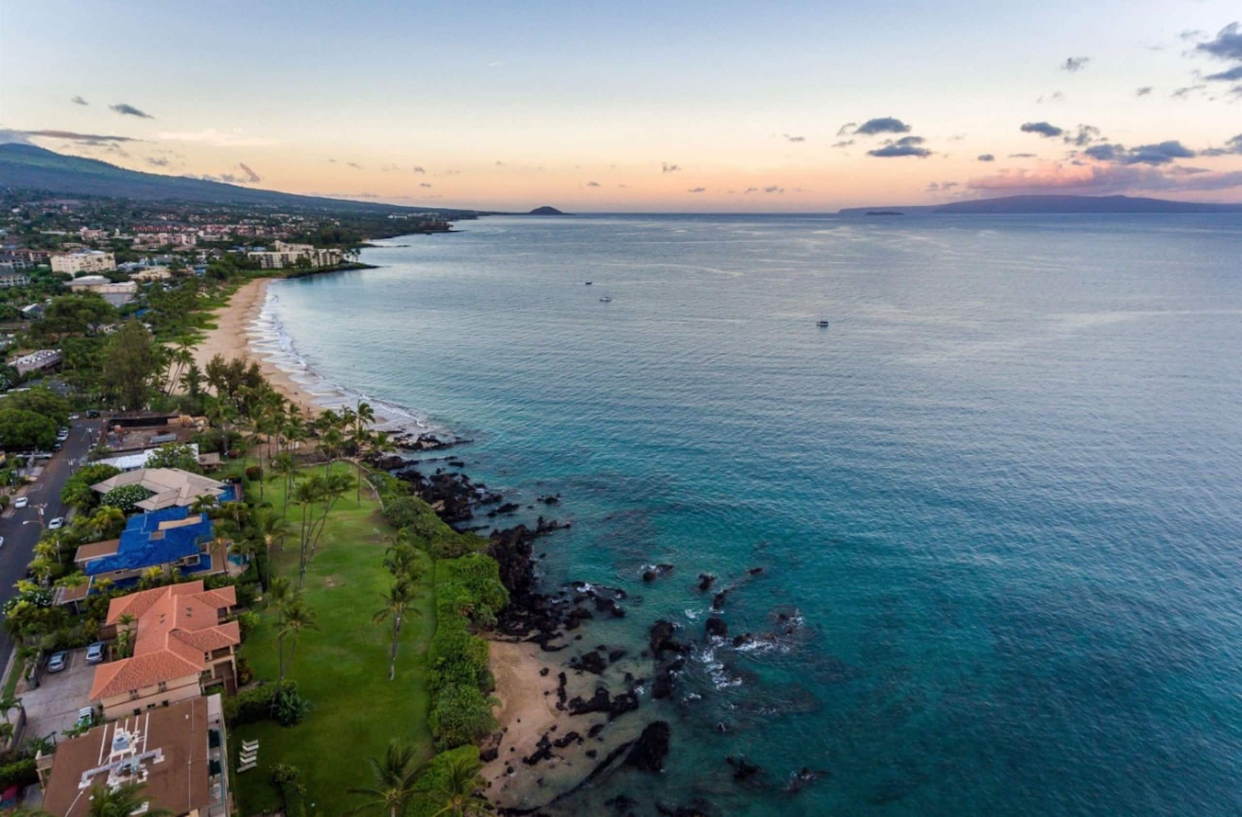 Condo in Kihei · ★4.95 · 1 bedroom · 2 beds · 1 private bath - Image 40