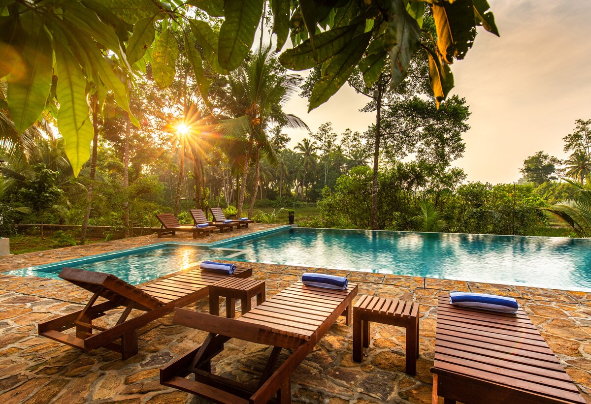 Sunlight filters through lush foliage, illuminating the serene swimming pool. Wooden loungers are arranged neatly along the poolside, each adorned with a soft towel. Verdant greenery surrounds the area, creating a peaceful retreat.