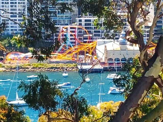 Unique tree top sanctuary with Harbour views. gallery image 2