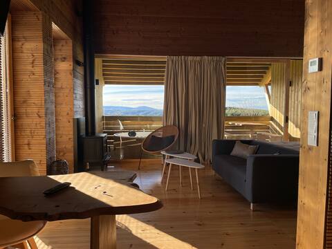 Designer Apt