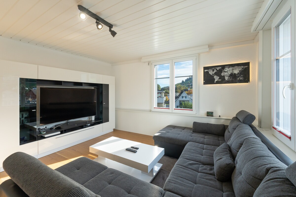 Successful Airbnb property: Paradise at the border triangle & free parking in St. Gallen