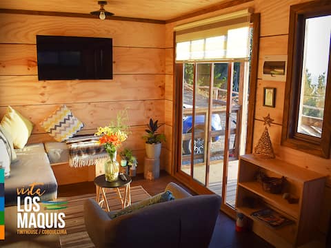 Top performing Airbnb: View from Los Maquis TinyHouse in Cobquecura